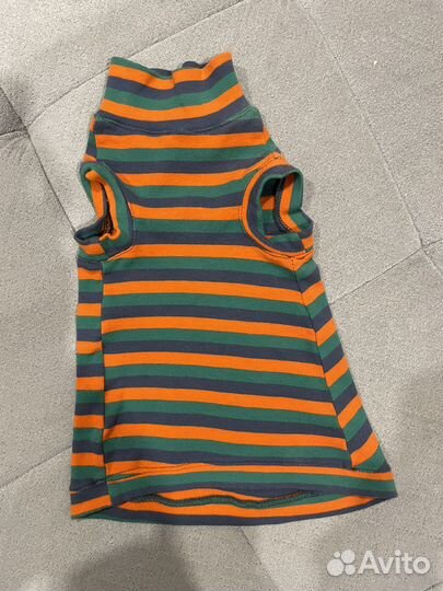 Одежда для животных