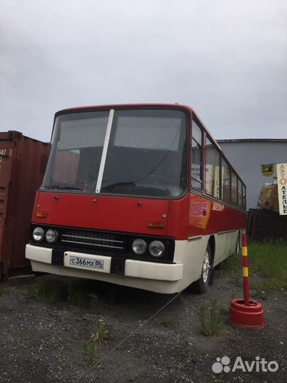 Междугородний / Пригородный автобус Ikarus 255, 1980