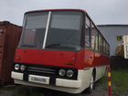 Междугородний / Пригородный автобус Ikarus 255, 1980