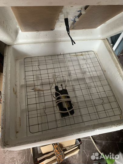 Инкубатор для яиц