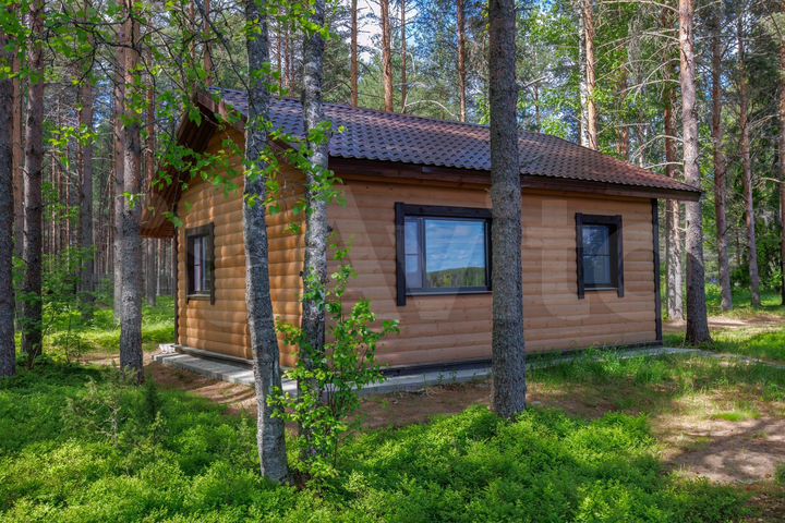 Дом 42 м² на участке 2 га