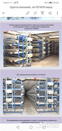 Птицефабрика, на производво кур яйцо, Ульянов, обл