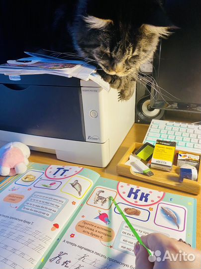 Репетитор по русскому языку и литературе