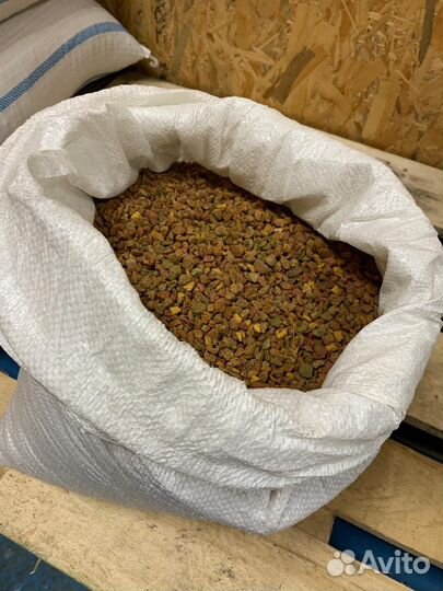 Сухой корм для кошек