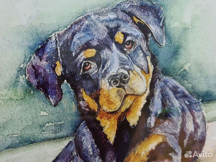 Картина. Акварель. В ассортименте