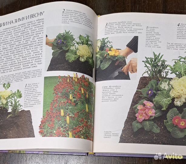 Цветы в вашем саду книга