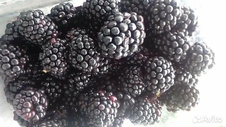 Ягоды замороженные