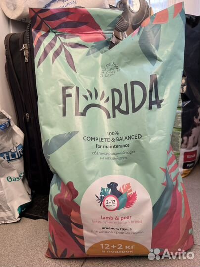 Корм для собак