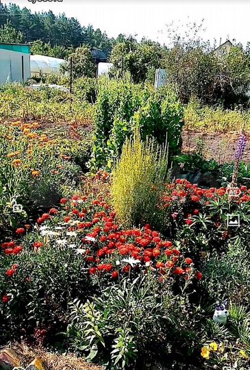 Дача 20 м² на участке 4,5 сот.