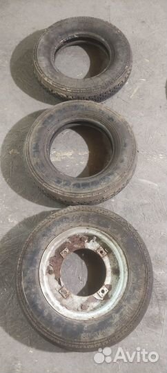 Шины для мотороллера муравей