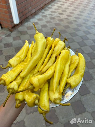 Семена перца(цицак)