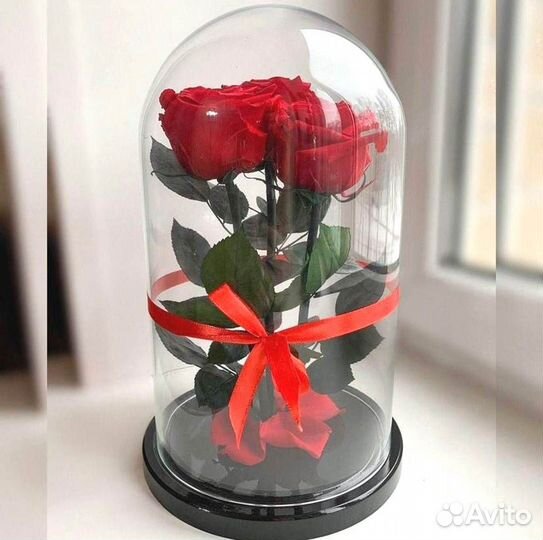 Роза в колбе. От производителя