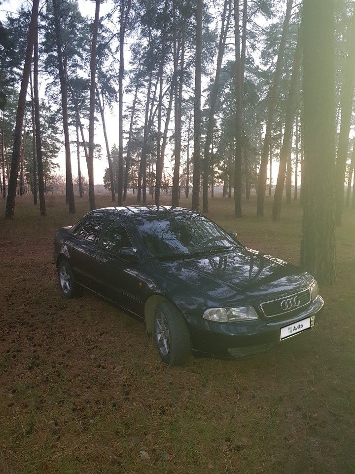 Audi A4: фото владельца