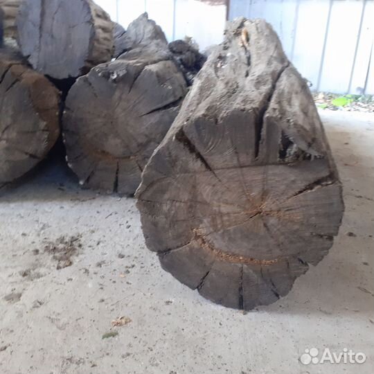 Мореный дуб