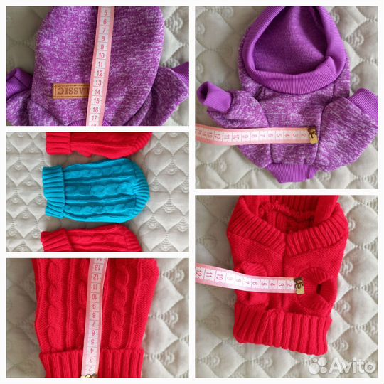 Одежда для собак мелких пород