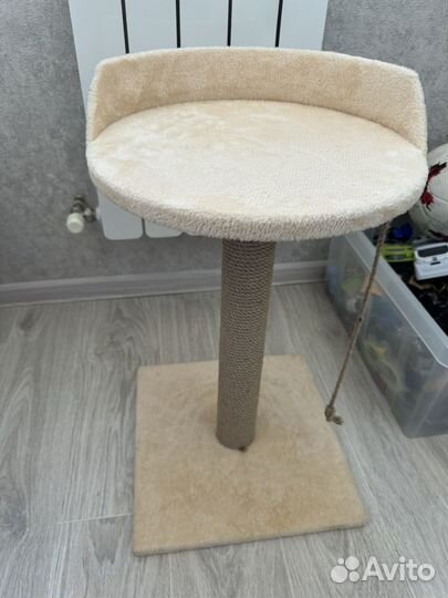 Когтеточка для кошки