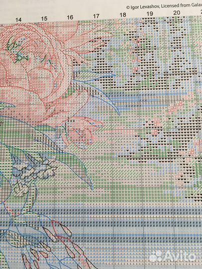 Набор для вышивания Dimensions 35257 Пионы
