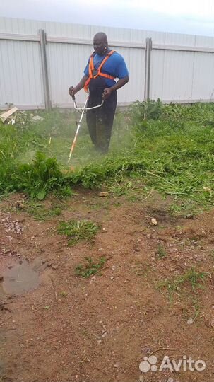 Садовник в Пушкине