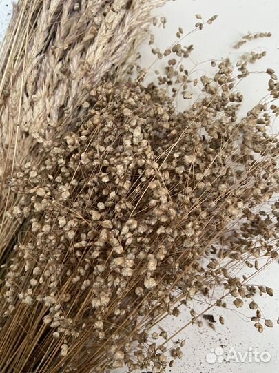 Сухоцветы шишки коряги кора береста