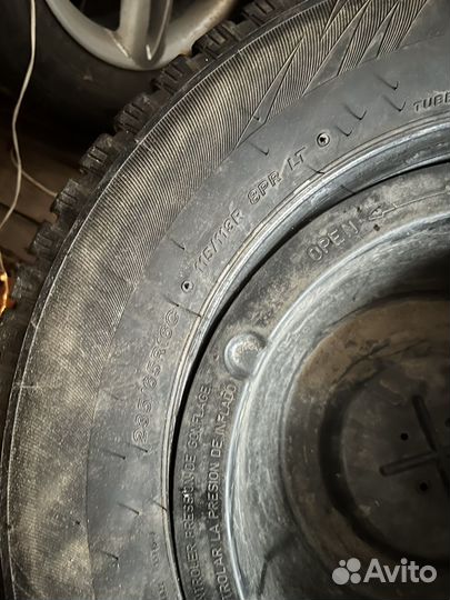 Lassa Wintus 2 R16C 204