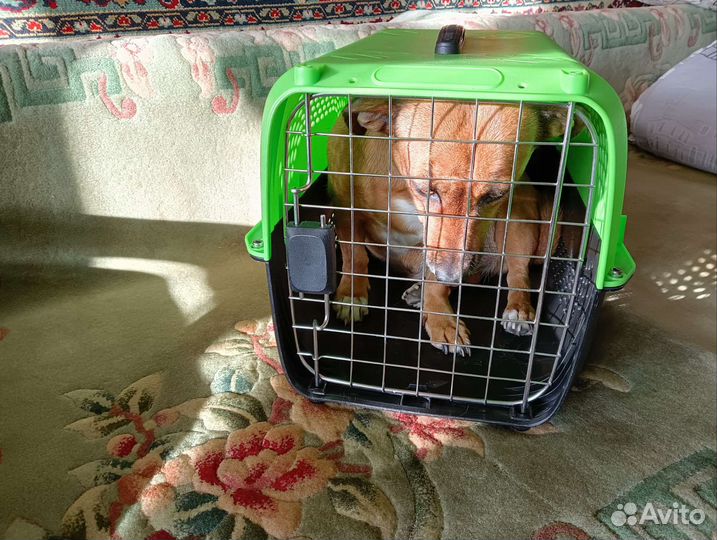Переноска для животных пластиковая