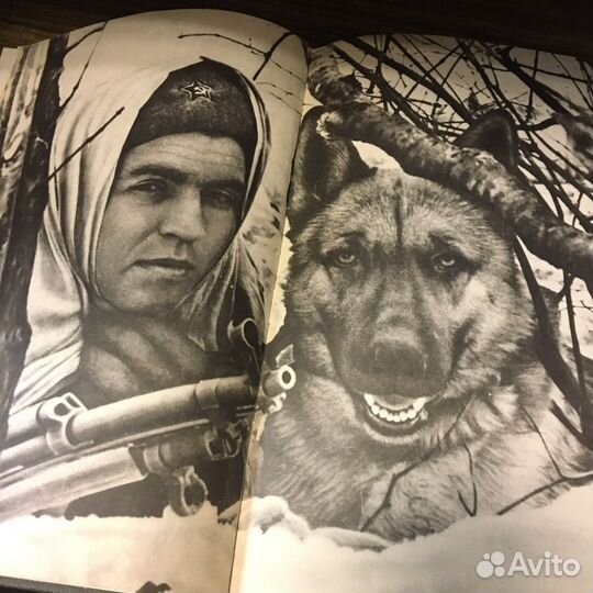 Наши верный друзья 1974 год