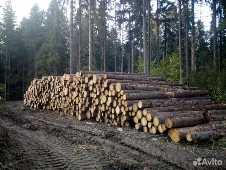 Лесозаготовительный комплекс