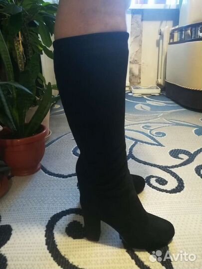 Сапоги женские демисезонные