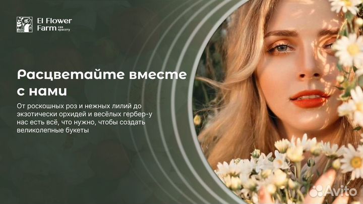 Графический дизайнер (+ печать визиток)