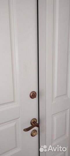 Противопожарная металлическая дверь