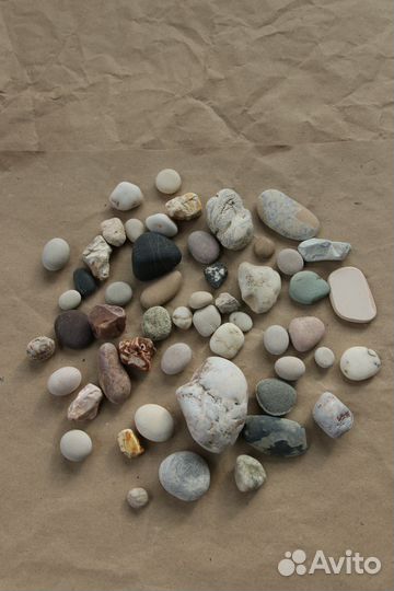 Ракушки/камушки для творчества, декора, аквариума