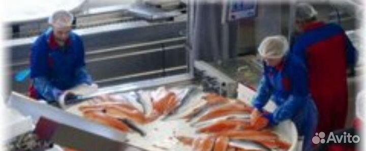 Упаковщики/цы фасовщики/цы.Москва