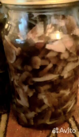 Грибы маринованные опята