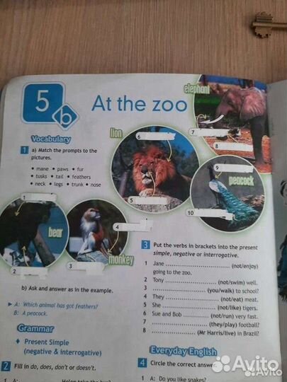 Рабочая тетрадь по английскому 5 класс