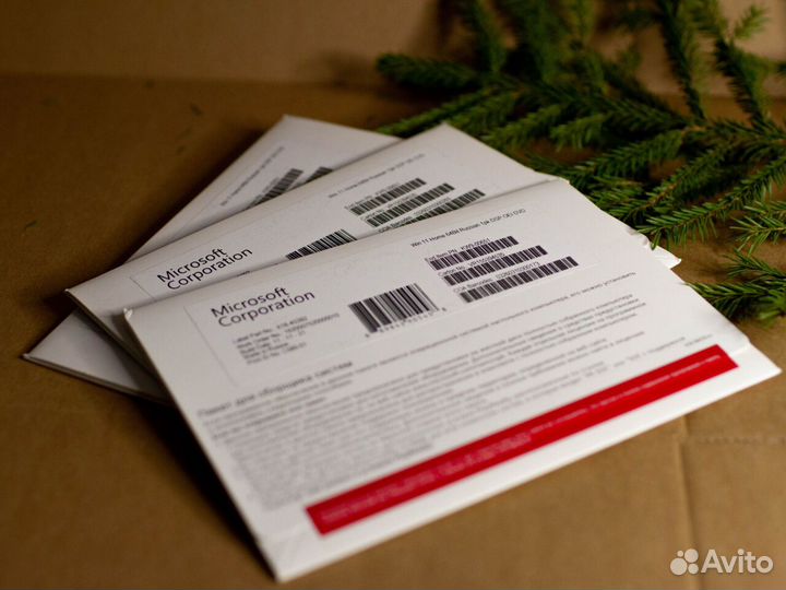 Windows 11 home DVD OEI (конверт)