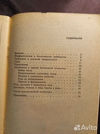 Смородина черная в саду 1995 М.Бохонова