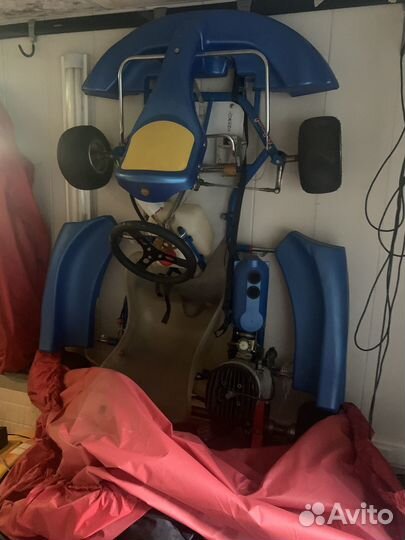 Карт Birel Easy / Rotax