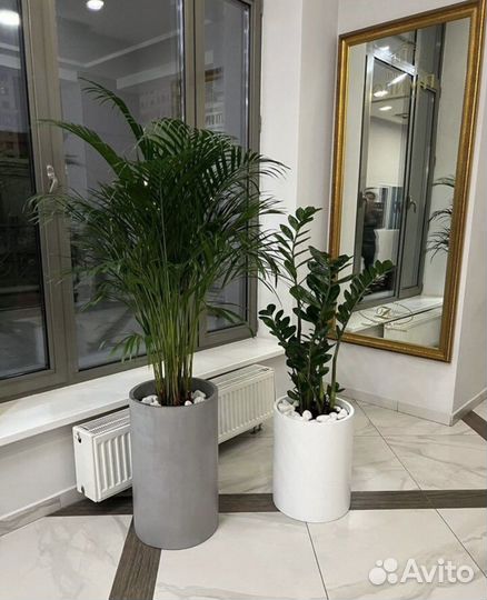 Бетонно кашпо вазон из бетона лофт