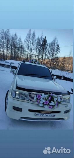 Авто в аренду