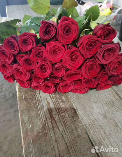 Букет роз. Розы