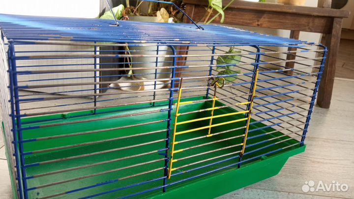 Клетка+переноска+поилка +кормушка