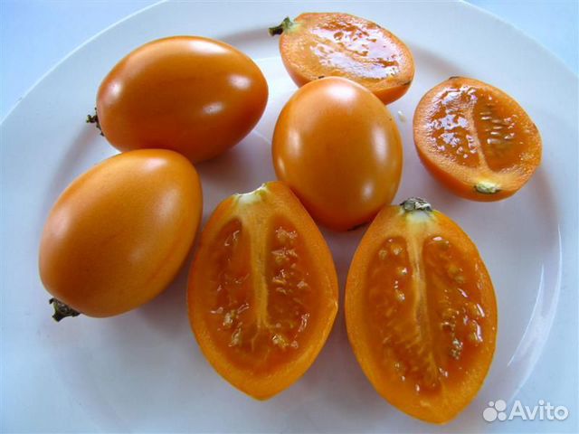Томарилло (томатное дерево) купить в Омске | Товары для дома и дачи | Авито