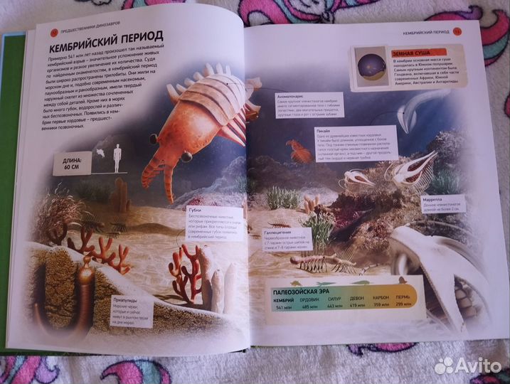 Энциклопедия всё о динозаврах Махаон