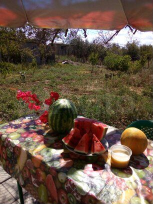 Комната 8 м², 1/1 эт.