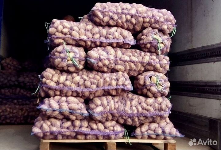 Картофель для кафе и ресторанов