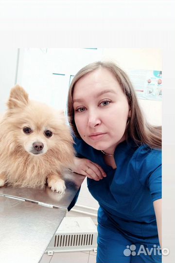 Ветеринарный врач на дом. Вакцинация животных