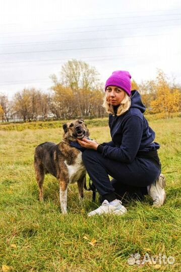 Спасите собаку из приюта