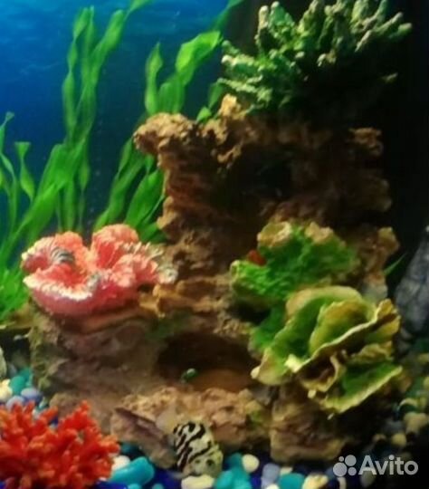 Декор для аквариума