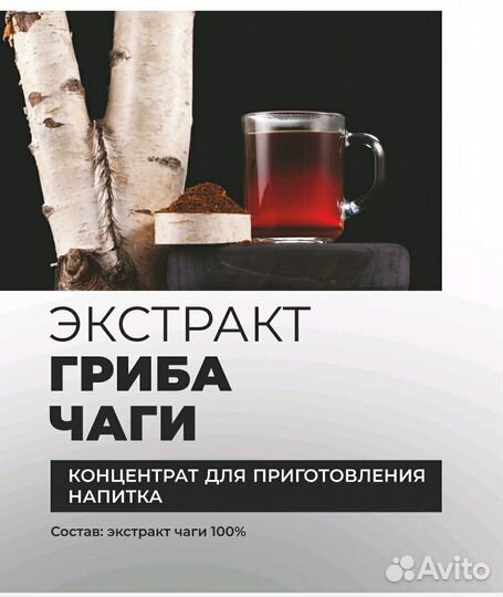 Экстракт чаги