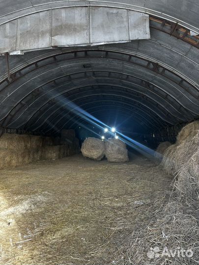 Сено в рулонах 2023 года